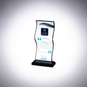 Troféu de Acrílico Personalizado