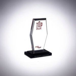 Troféu de Acrílico Personalizado